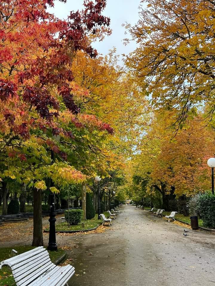 sorianitelaimag's tweet photo. Colores otoñales en la Dehesa de Soria 🍂
📸 @sararomeca

#LaDehesa #Parque #Soria #SoriaNiTeLaImaginas #NiTeLaImaginas #Turismo #CastillaYLeon #Patrimonio #Naturaleza #AlamedaDeCervantes @CyLEsVida https://t.co/OPPAuiW8mF