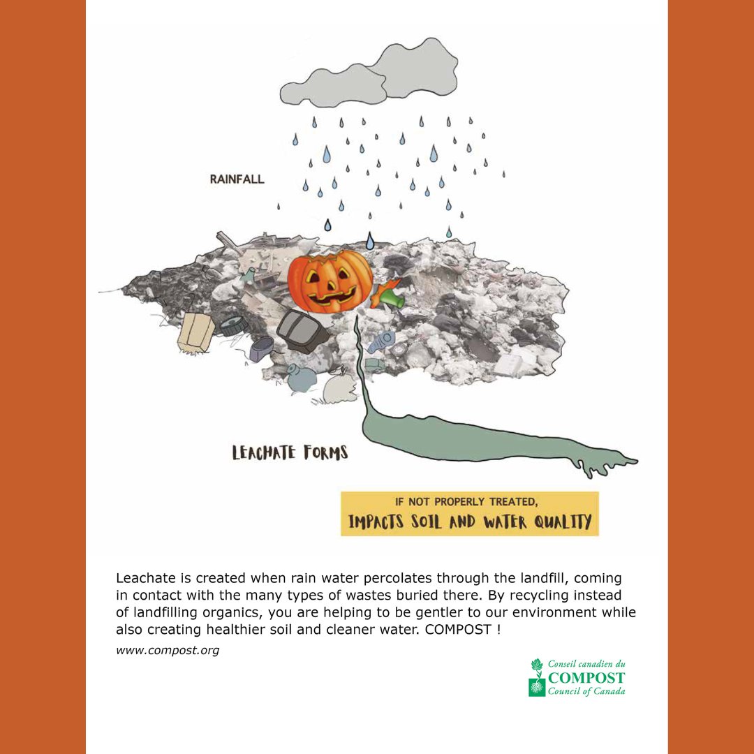 GrowarowInfo's tweet photo. Remember to compost your post-Halloween pumpkin instead of having it buried in a landfill. 
#compost ##savesoil #soilhealth https://t.co/2LGrkJtUIm