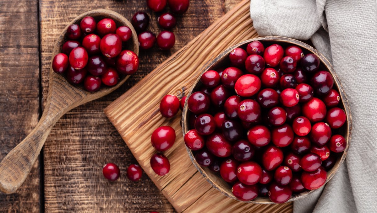 BDRdaily's tweet photo. 10 Easy Recipes to Make During Cranberry Season
https://t.co/D6KKmcsJTV
#cranberries #cranberry #cranberryrecipes #cranberryseason #winterproduce #winterfruits #seasonal #seasonalrecipes #holidayrecipes #tart #berries #recipes #fallrecipes #fallproduce #fallflavors #fall #autumn https://t.co/YHM3rYqqHX