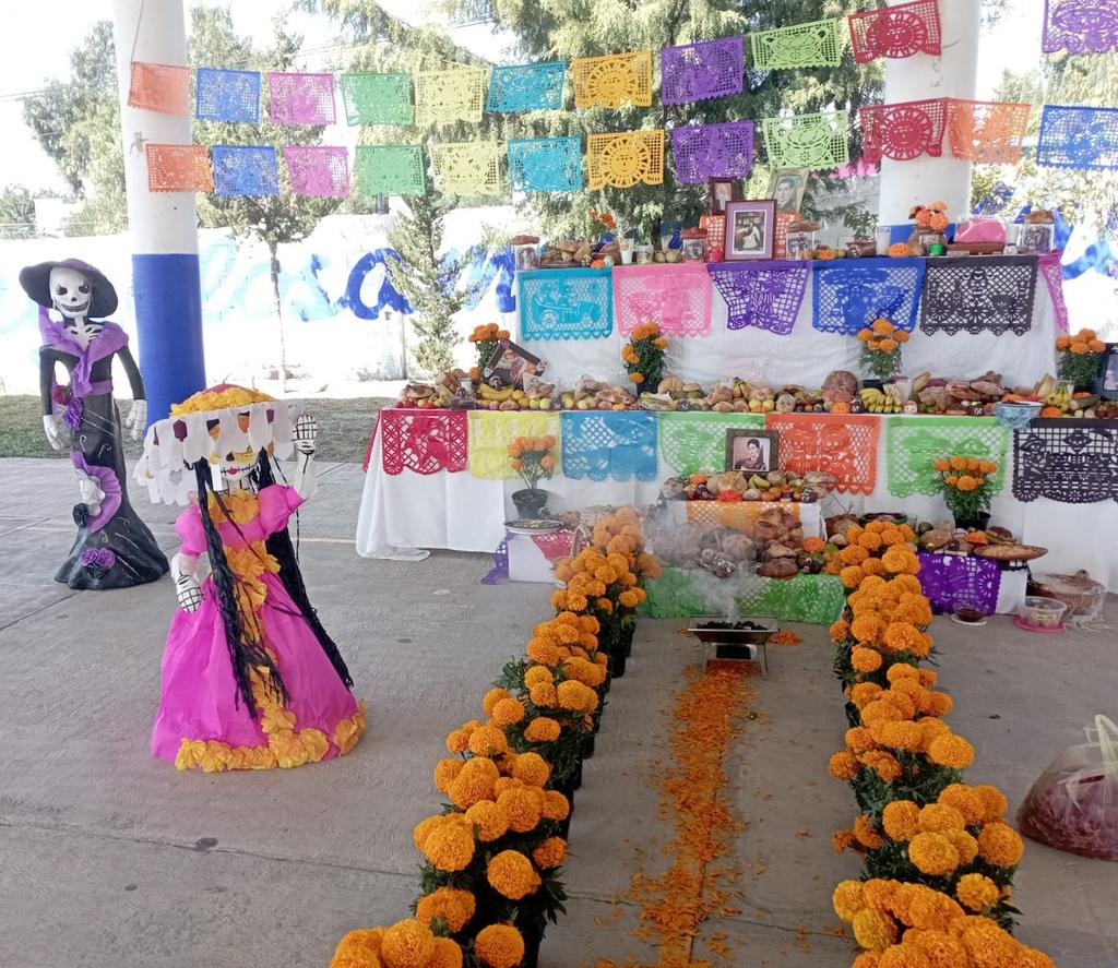 Daniela Baez tweet media