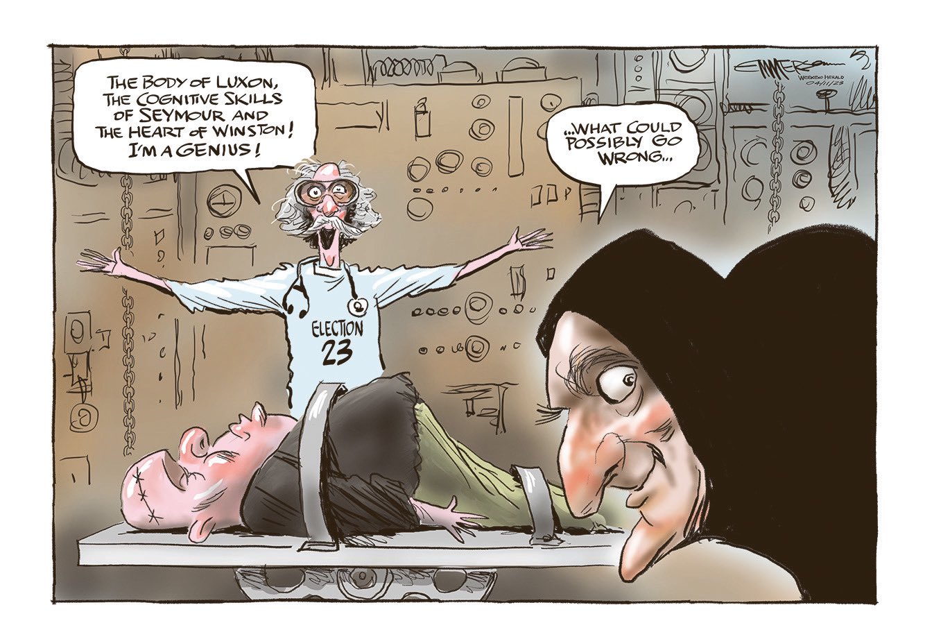 Cartoon: Keeper of the ponytail - NZ Herald