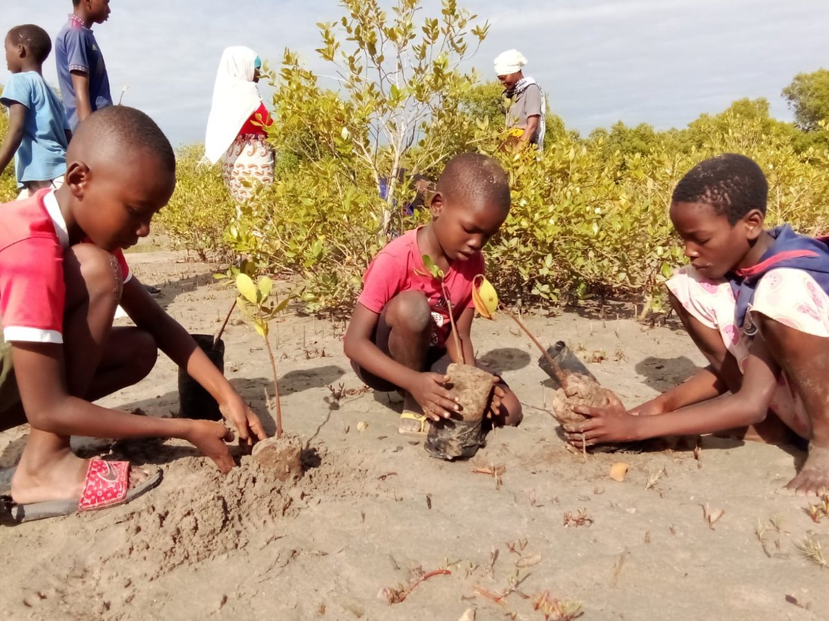 unescoROSA's tweet photo. On #InternationalDayofBiosphereReserves today, Quirimbas Biosphere Reserve of Mozambique celebrates the success of engaging communities &amp; youth in biosphere reserves  for sustainable co-existence between communities &amp; nature.

#beresilient #ItsAbotLife @UNESCO https://t.co/QUeVD1LhPP