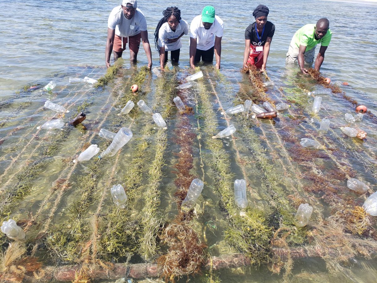 unescoROSA's tweet photo. On #InternationalDayofBiosphereReserves today, Quirimbas Biosphere Reserve of Mozambique celebrates the success of engaging communities &amp; youth in biosphere reserves  for sustainable co-existence between communities &amp; nature.

#beresilient #ItsAbotLife @UNESCO https://t.co/QUeVD1LhPP