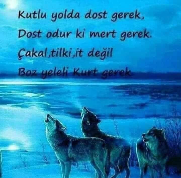 Alp Er Tunga (@44by52) on Twitter photo 