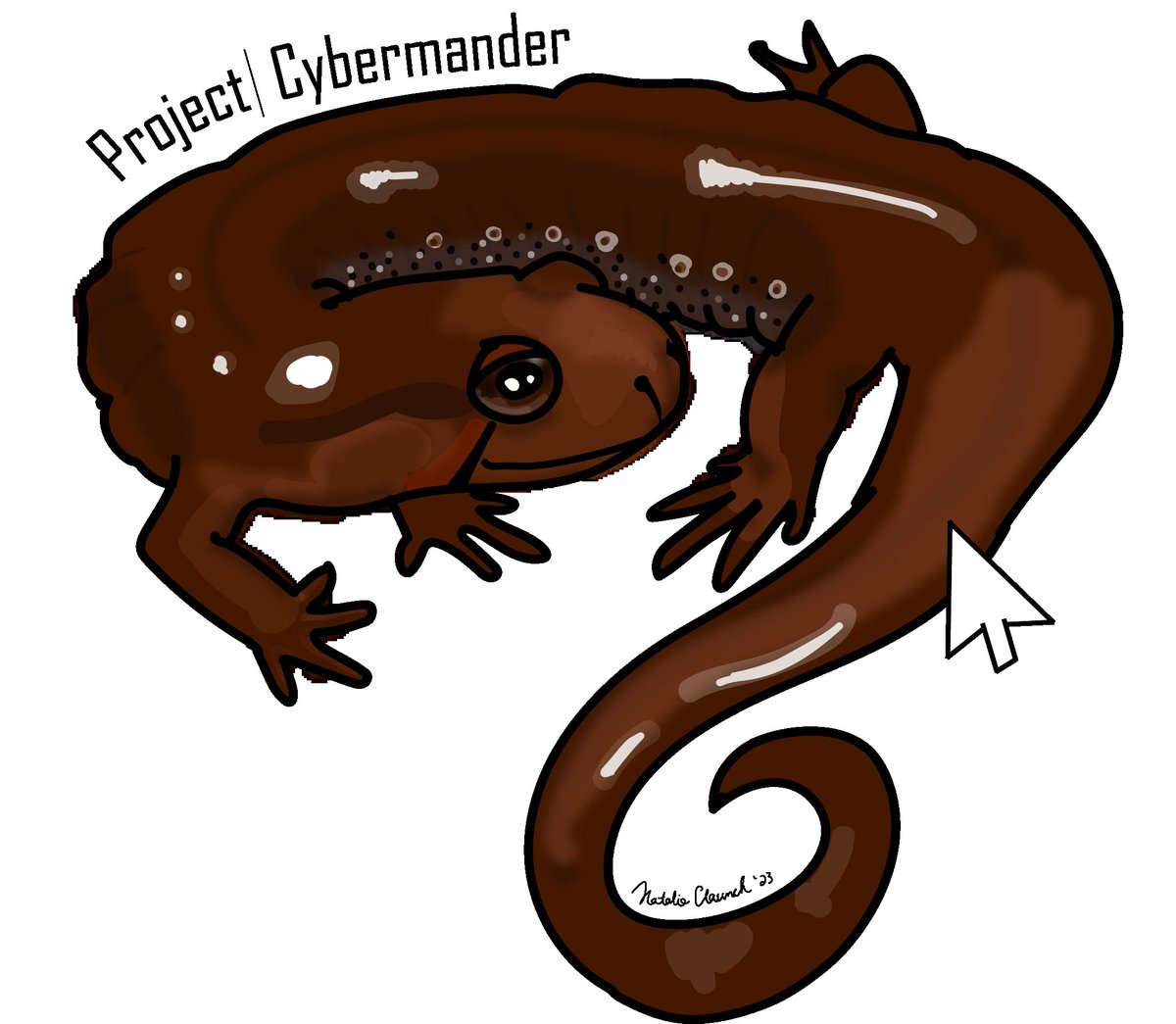 Have you checked out project Cybermander on @nfromn yet? 
bit.ly/3aKhFXR 

Also calling for SALAMANDER PUNS!
We have 26 expeditions to name (think Cybermander 3: slime city)- give me your worst!!
#communityscience #salamander #pun