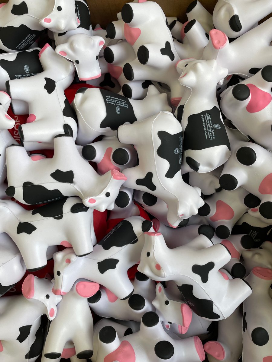 Come visit us at the AIChE annual student conference. Meet our faculty and grad. students. Table no. RF-170. It'll be moo-velous! #AIChE2023