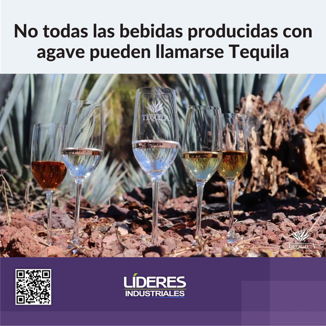 No todas las bebidas producidas con agave pueden llamarse Tequila @CRTequila lideresindustriales.com/no-todas-las-b…