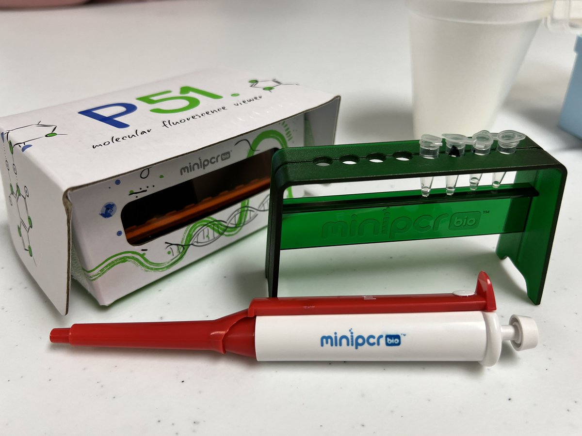 Christy Scofield tweet media