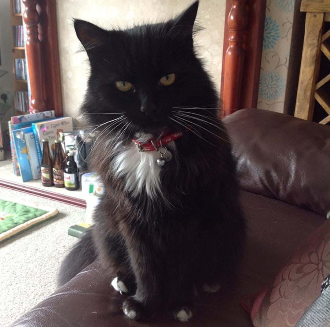 Flash Trouserman tweet media