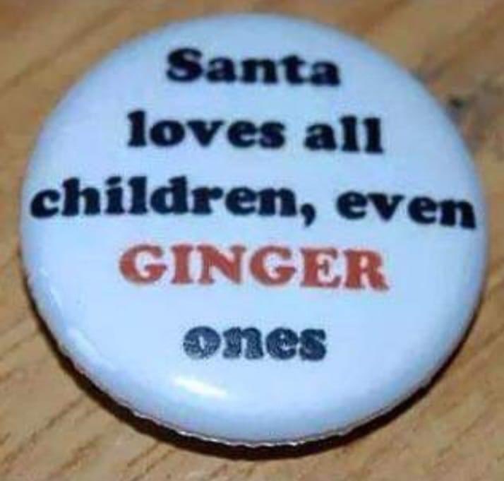 Remember not all gingers are wankers just some of them  #bignosewankers