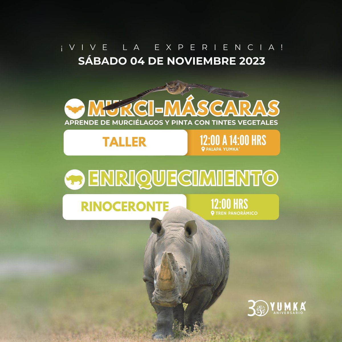 🤩 #ViveLaExperiencia del taller “Murci - Máscaras” 🦇 y el enriquecimiento de Rinoceronte 🦏