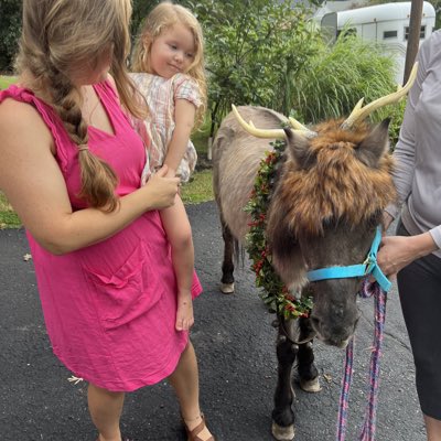 Hogback Mountain Pony Rides tweet media