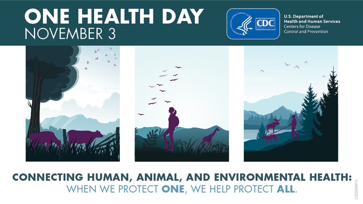 Recognizing the connections between people, animals, and our shared environment means we can solve problems threatening us all. A #OneHealth approach can make the 🌎 a safer, healthier place. Learn more: bit.ly/cdcOneHealth. #OneHealthDay