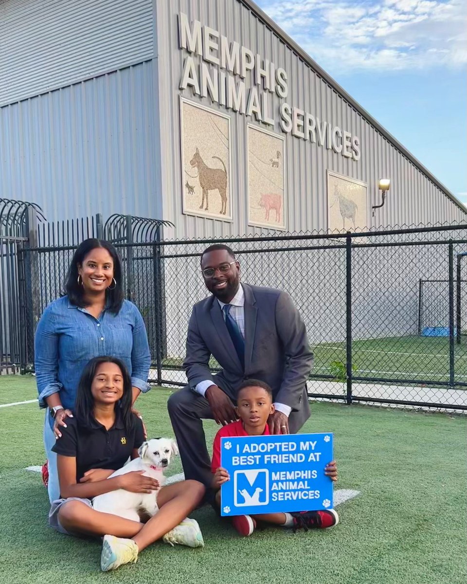 Paul Young tweet media