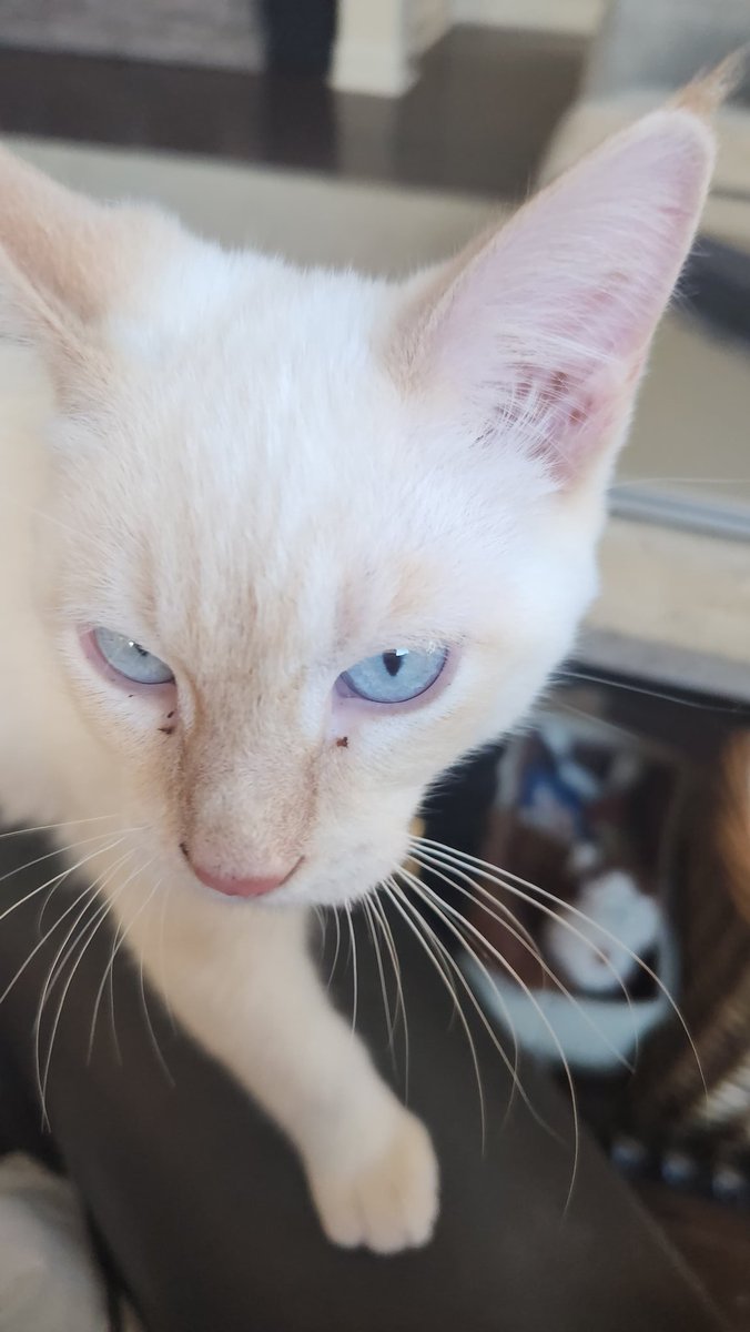 Jere W. McBride tweet media