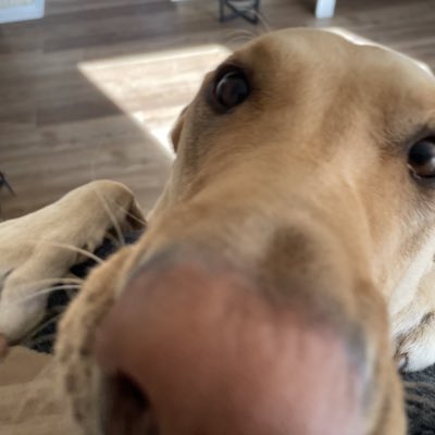 klynnbentley's tweet photo. #NewProfilePic https://t.co/SpXT8iEVql