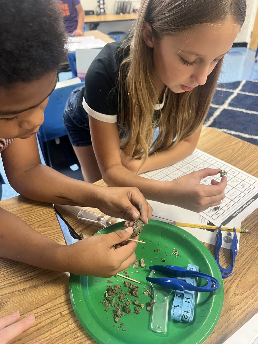 Ms. Foley🦈 tweet media