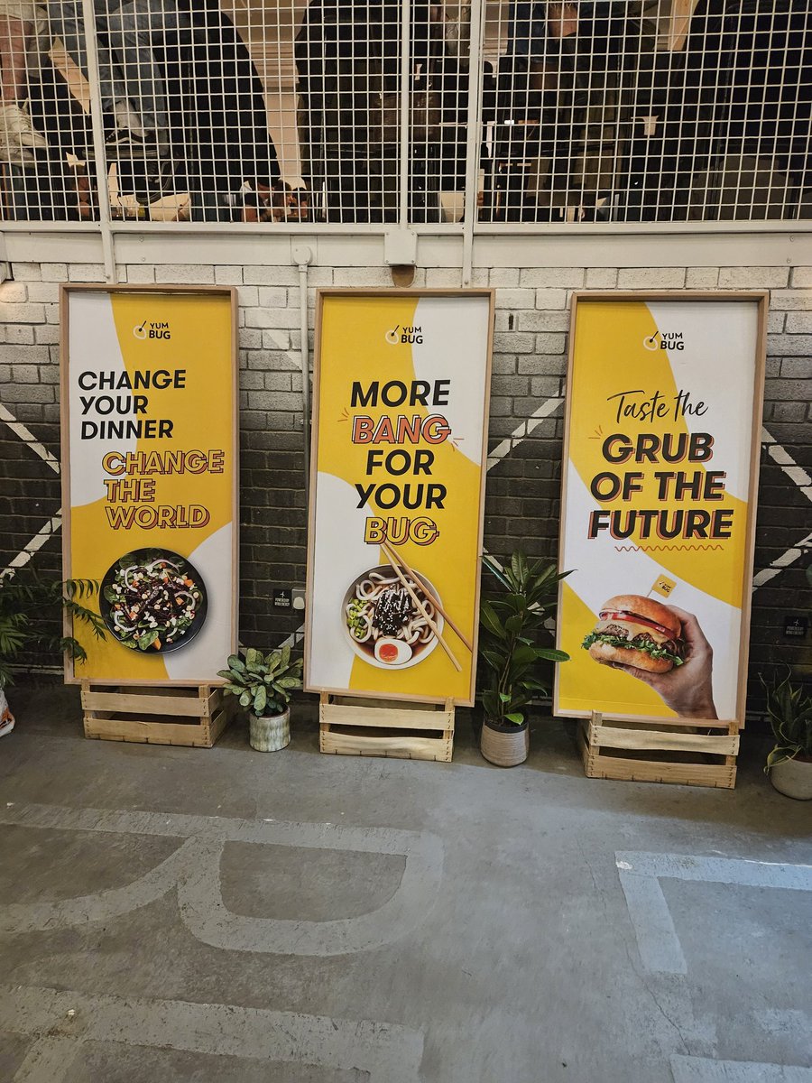 At the <a href="/_yumbug/">Yum Bug</a> restaurant 🦗🦗 waiting for my table, the food smells great, listening to some chill vibes 🎶🎶