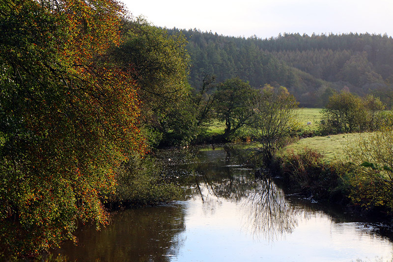 The River Taw at Eggesford, Devon UK. A morning in November. @JamesRavilious country...