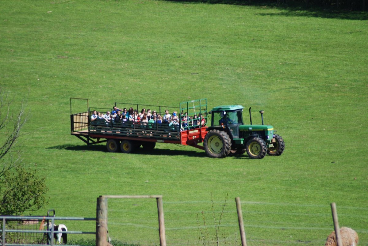 This Weekend is the last chance to visit Cantref until our Christmas Experience Starts

it is also the last chance for many of your favourite activities in 2023. Pig racing, swamp ride, tractor ride, dinosaur &amp; the water part of sand &amp; water play

cantref.com/book