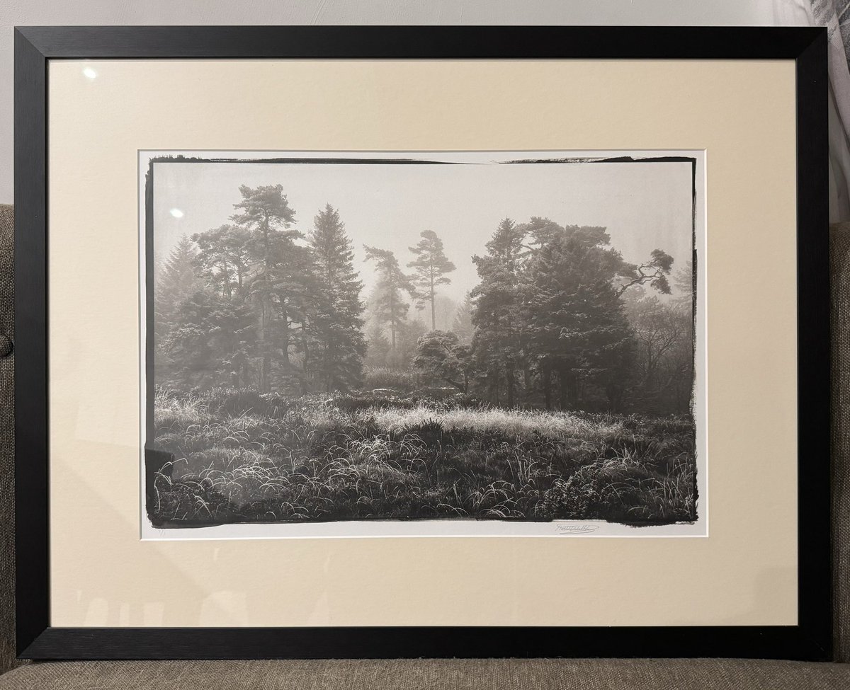 Framed and ready to sell. #platinumpalldiumprint #print #landscapephotography #landscape #photography #blackandwhite #trees #blackandwhite #printyourphotos