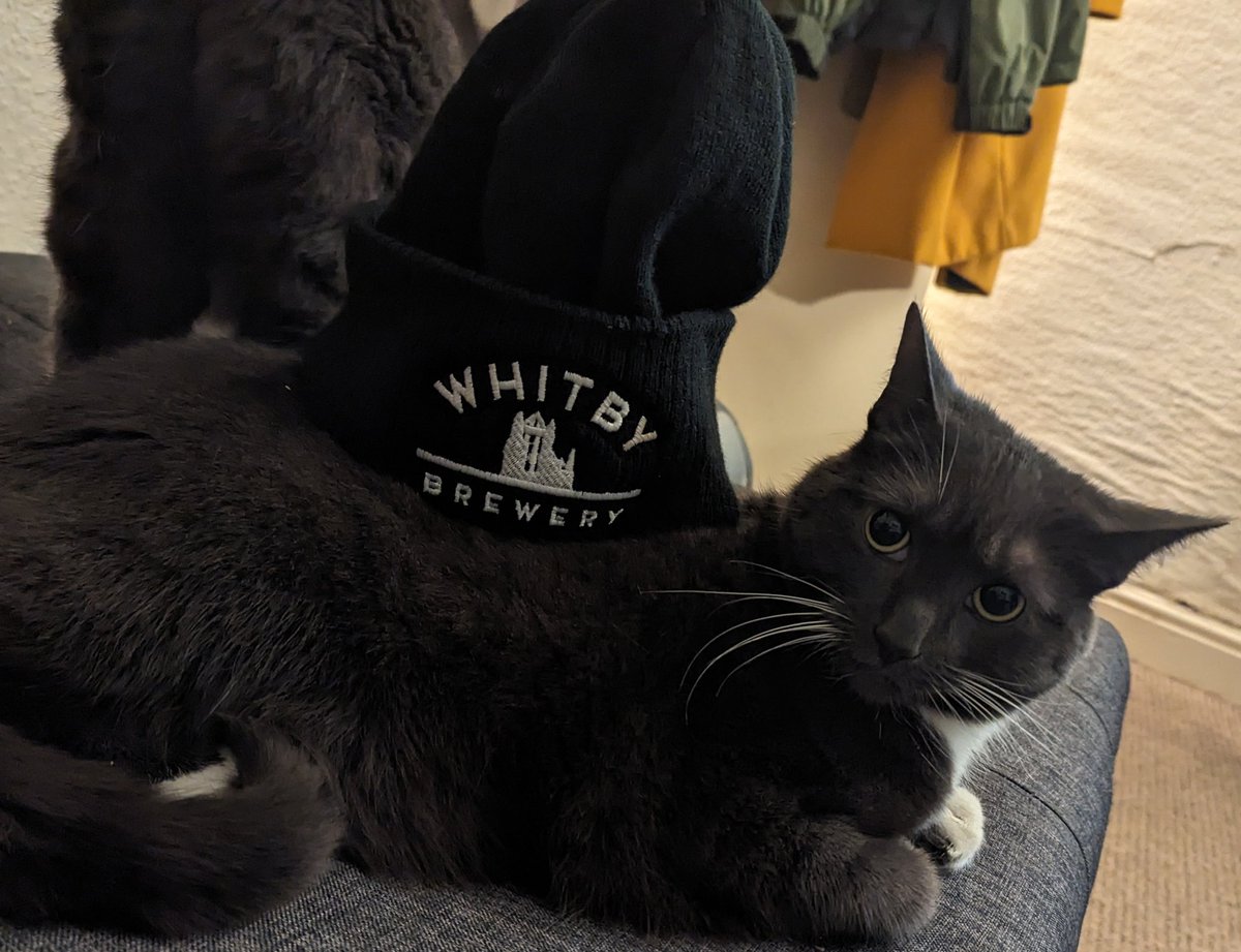 Sound reception of my <a href="/WhitbyBrewery/">Whitby Brewery</a> hat.