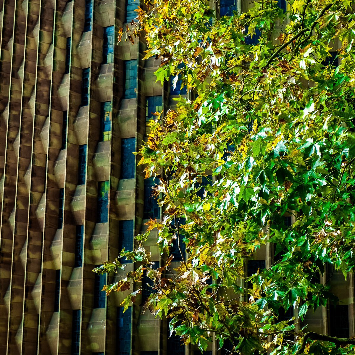 The Colour Palette Company tweet media