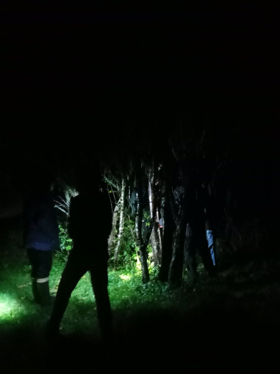 RoadFarmRamblin's tweet photo. Despite rain &amp; cold, last night an intrepid group of youngsters came to find out about mushrooms! Great excitement when #TylerM pointed out the "zombi tree" with all its sprouting fungi! #InspireToGrow @HeartofBucks https://t.co/S5neWfvToM