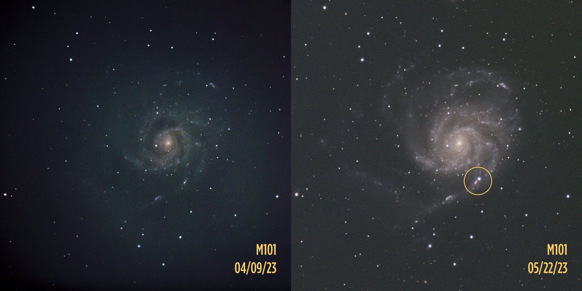 Something cool happened back in the spring. I was taking some rough test pics with a new telescope in April but couldn't do any proper imaging until later in May. Between those dates, on May 19th, a massive star in the Pinwheel galaxy exploded (21 million years ago).