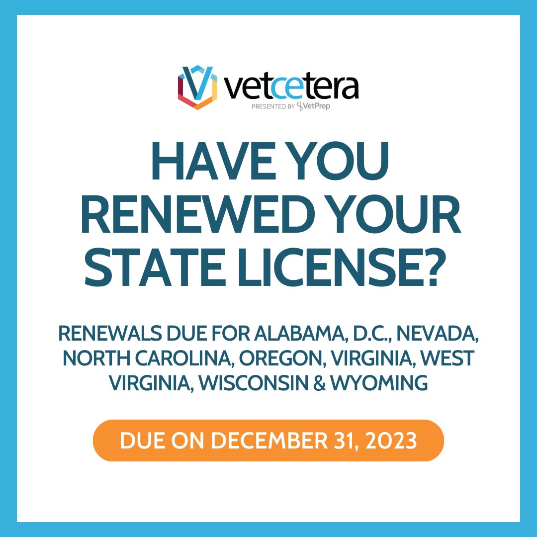 Vetcetera tweet media