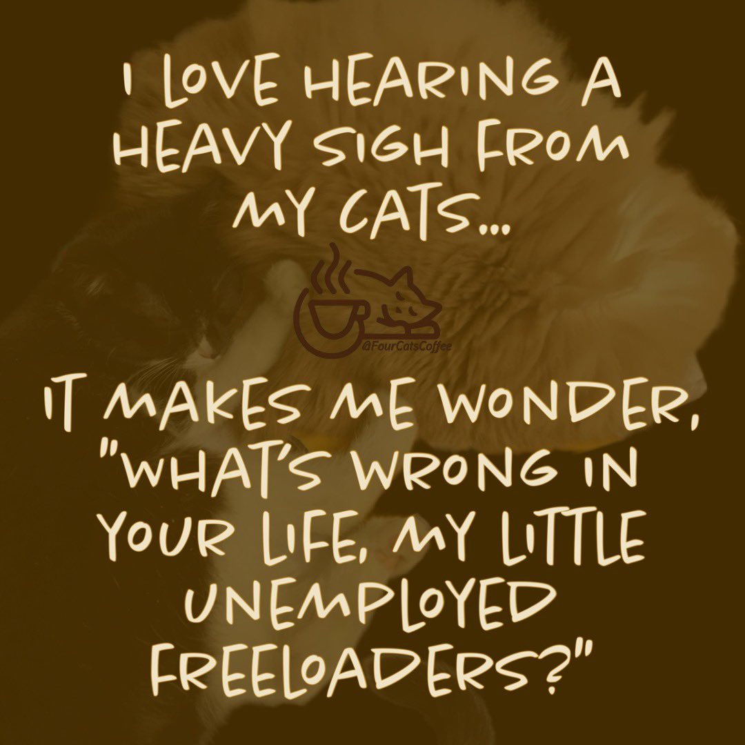 FourCatsCoffee's tweet photo. Fun little Friday afternoon humor… something to start your weekend off with a smile!

#cat #cats #CatJoke #CatMeme #CatHumor #CatHumour #laugh #CatLaugh #CatLife https://t.co/4N14FVQW56