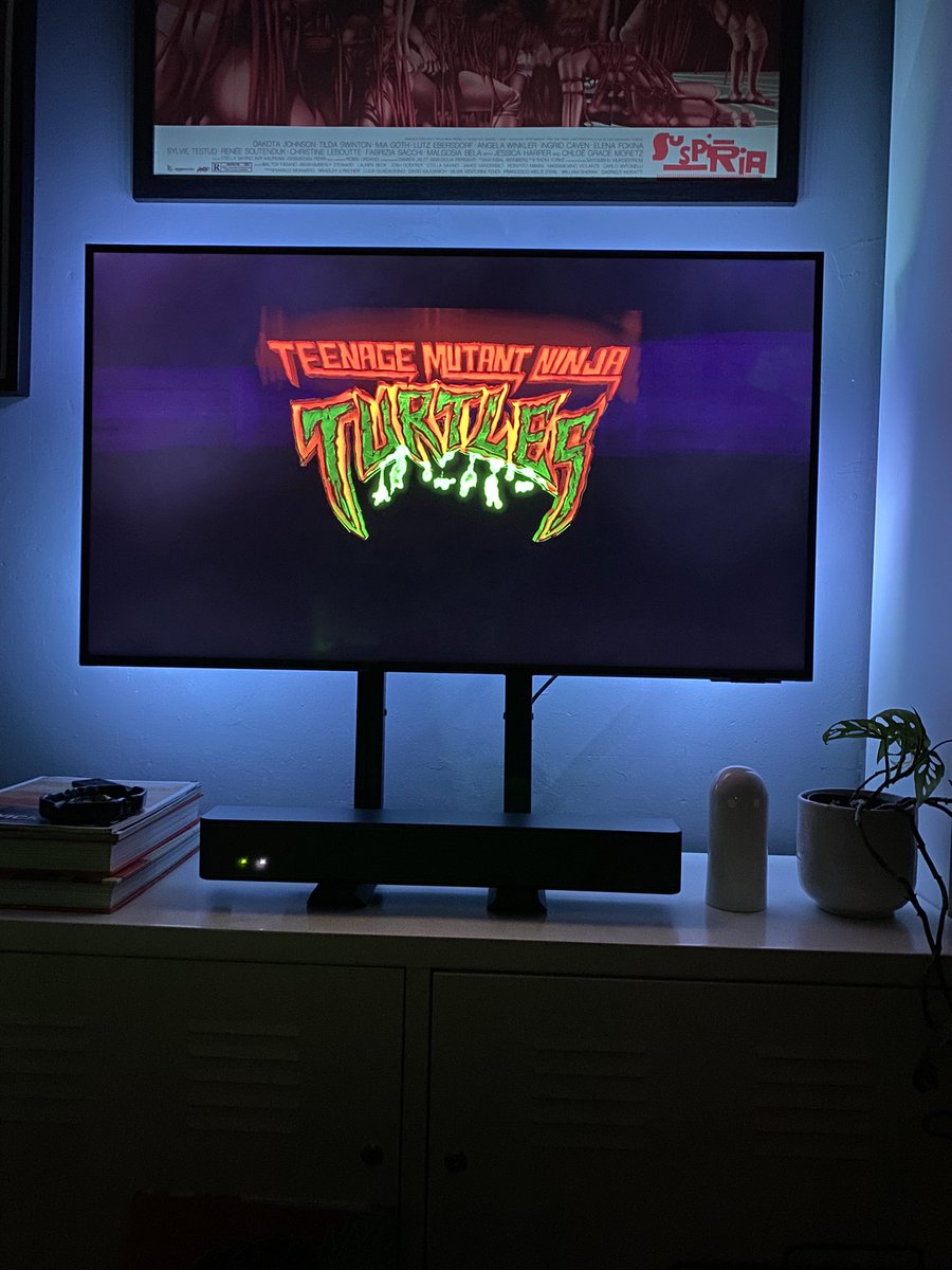 #movienight #teenagemutantninjaturtles #mutantmayhem