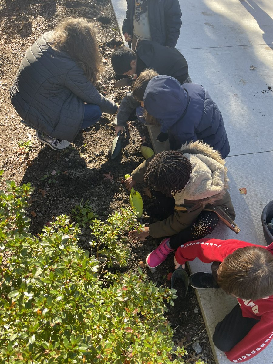 BrownPocoBlue's tweet photo. Kids across the grade levels planted bulbs around the school over the last two days - I can’t wait for our spring surprises!  Here are some of our 2nd graders in the car circle. https://t.co/TbQ10FwuZR