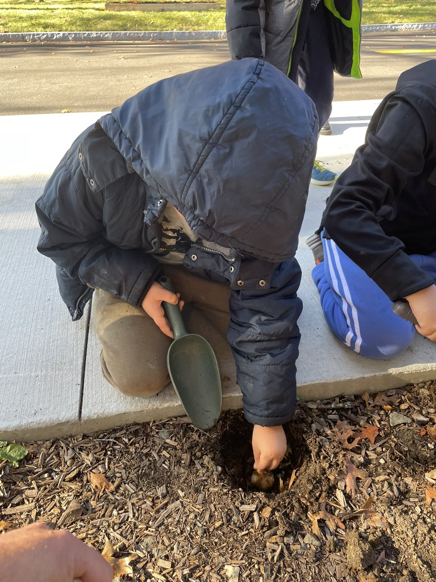 BrownPocoBlue's tweet photo. Kids across the grade levels planted bulbs around the school over the last two days - I can’t wait for our spring surprises!  Here are some of our 2nd graders in the car circle. https://t.co/TbQ10FwuZR