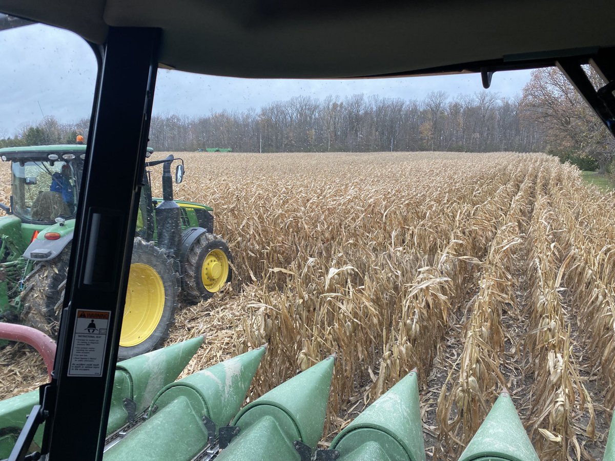 Adam Pfeffer tweet media