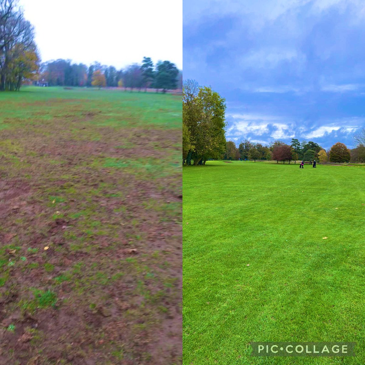 The 12month strategy has produced an exceptional turnaround of our fairways. Hard work from the team following best practices with planned treatments. Images mirror a 12 month comparison Nov to Nov. Kudos 👍<a href="/JohnHartBGC/">John Hart</a>