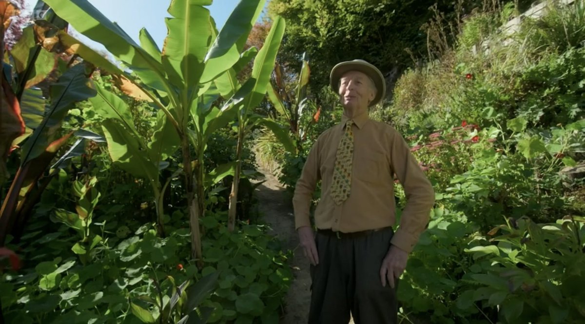 FMLdizzyAF's tweet image. Jack’s exotic tropical garden is beautiful reminds me of hot Summer days #GardenersWorld