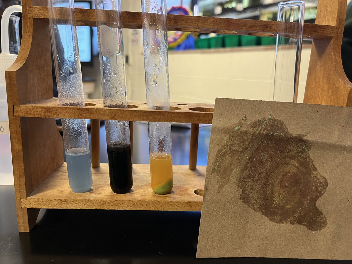 WhitingSoftball's tweet photo. What does a murder mystery and macromolecules have in common?!? Luckily, the super-sleuths in #HonorsBio were on the case to figure it out! @WHSOilers @WhitingOilers https://t.co/q9nwzVTvNe