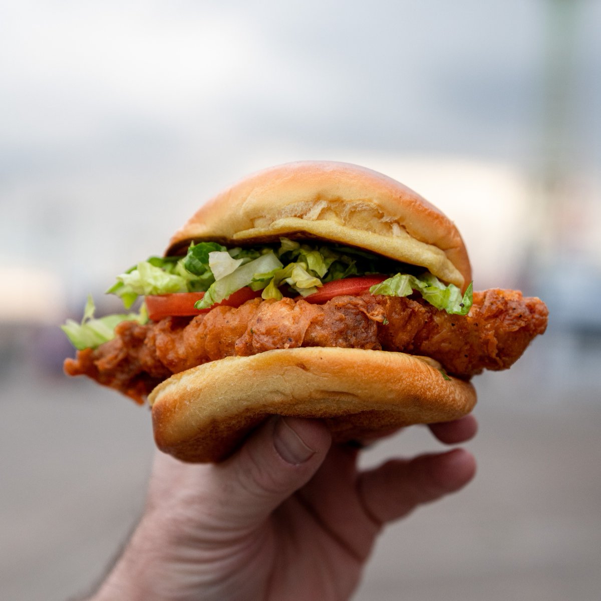 Get your chicken sandwiches in the air for #NationalSandwichDay 

#sandwich #chickensandwich #friedchicken #foodintheair