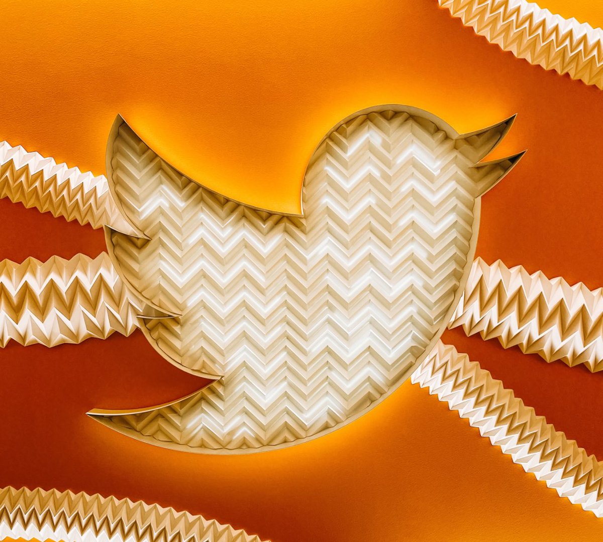 Megan Anderson tweet media