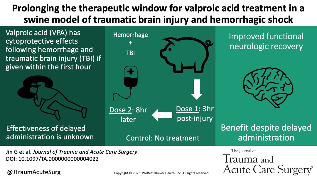 ❇️Best of Basic Sciences❇️ In a swine model of hemorrhage and TBI, valproic acid administration (3- and 11-hours post-injury) improves neurological outcomes. @DrHasanAlam @jessieho_ @Toby_K_B journals.lww.com/jtrauma/fullte…