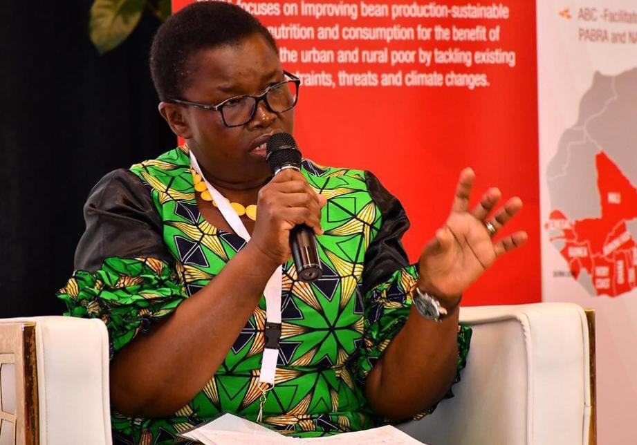 I had an opportunity to be part of the discussions on #Gender #Inclusivity and #Scalingimpact at the at the #ACAT2023. The #ACAT platform hosted by <a href="/aatfafrica/">AATF Africa</a> promises to scale the impact of #agricultural #technologies in Africa. <a href="/IDRC_ESARO/">IDRC in Eastern and Southern Africa</a>