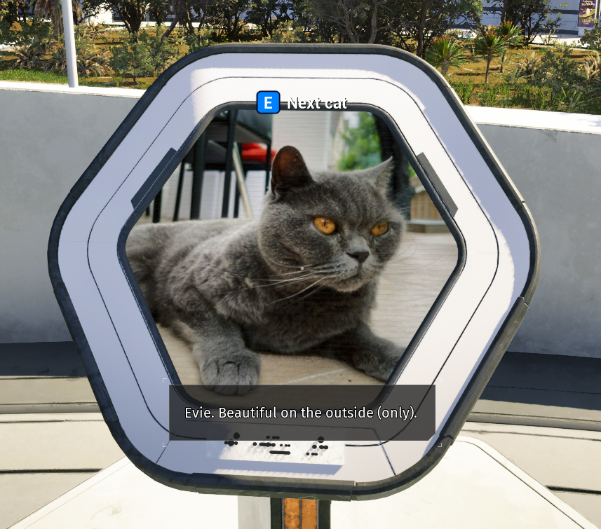 CanYouPetTheDog's tweet image. The Talos Principle 2 features a location called Milton's Rest, a kind of cat memorial in the universe of the game. The cats at Milton's Rest are also all real companions belonging to developers, beta testers, and those at Devolver Digital. Their memories are now immortalized.