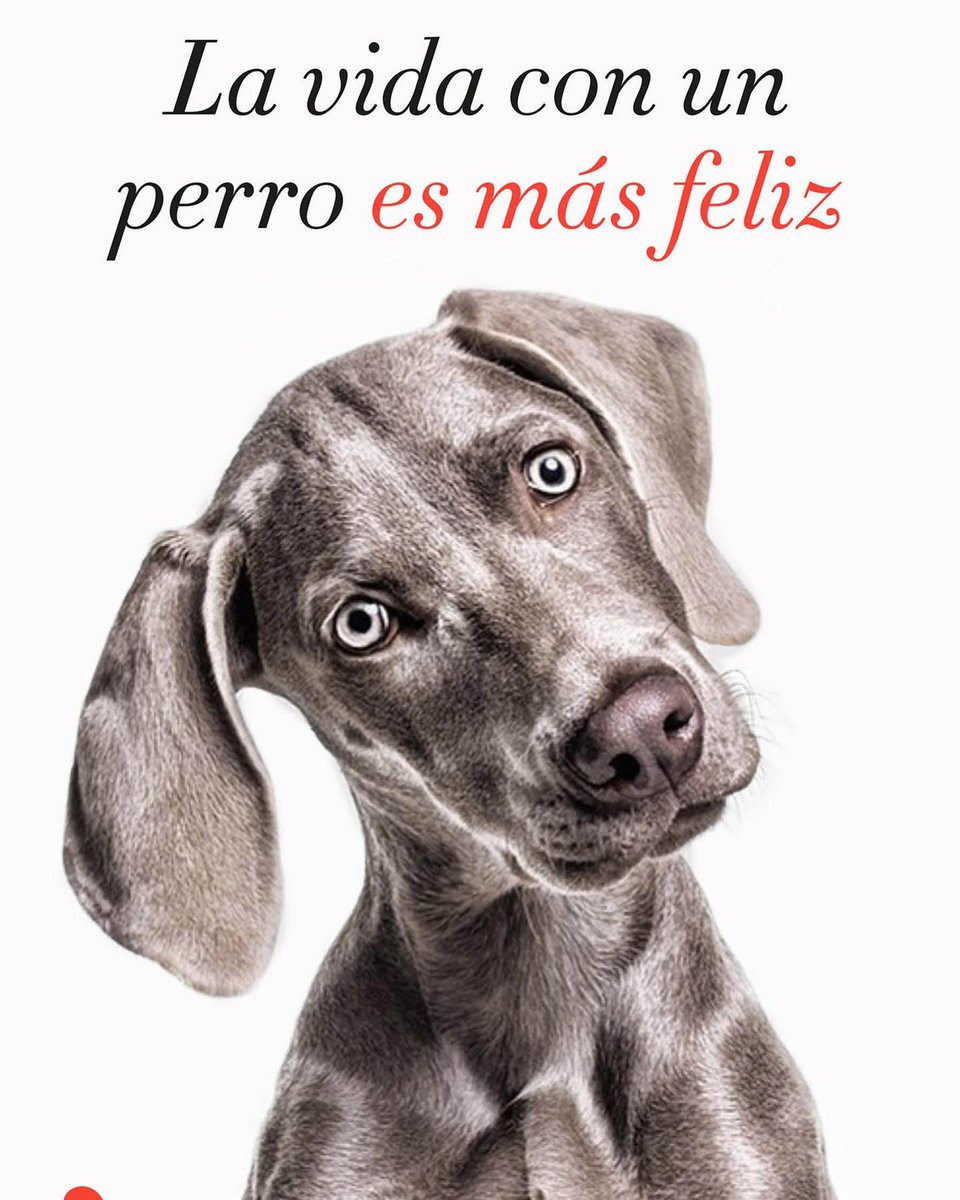 #Undíaunlibro empezamos la semana con un libro de perretes. Y es que <a href="/emilioortizpul/">Emilio Ortiz</a> nos ayuda a entender a los peludines que podamos tener en casa y a ratificar que la vida con un perro es más feliz.