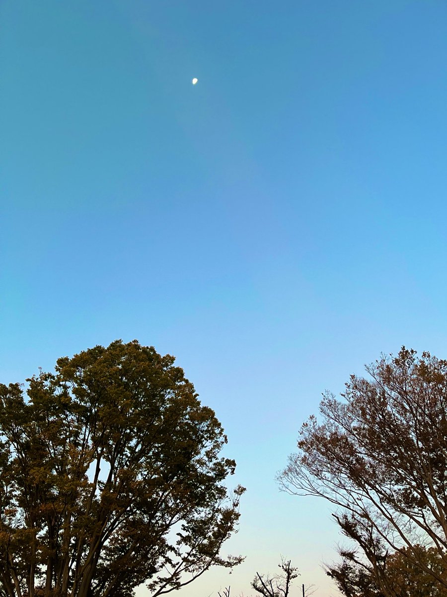 Xploring Soul tweet media