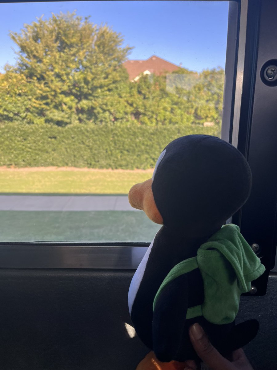 Veronica Johns (@mrsvjohns) on Twitter photo Jiji had an amazing time on the Kindergarten field trip today! <a href="/LGES_Gators/">Liberty Grove ES</a> <a href="/GISDTLD/">Teaching & Learning Development</a> <a href="/TraciVickery/">Traci Vickery</a> <a href="/TobiRSchmidt/">Tobi Schmidt</a> <a href="/STMathTX/">STMathTX</a> #GISDMathCounts Jiji had an amazing time on the Kindergarten field trip today! <a href="/LGES_Gators/">Liberty Grove ES</a> <a href="/GISDTLD/">Teaching & Learning Development</a> <a href="/TraciVickery/">Traci Vickery</a> <a href="/TobiRSchmidt/">Tobi Schmidt</a> <a href="/STMathTX/">STMathTX</a> #GISDMathCounts