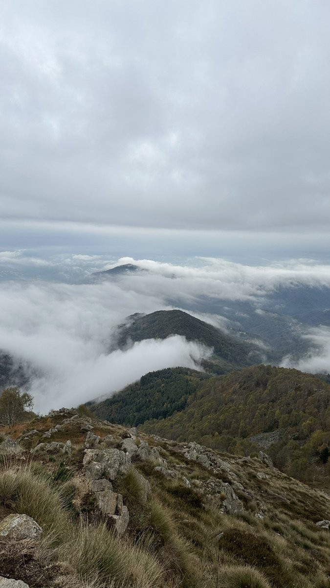 Howl ~ Roby 🖤💙𓃠 tweet media