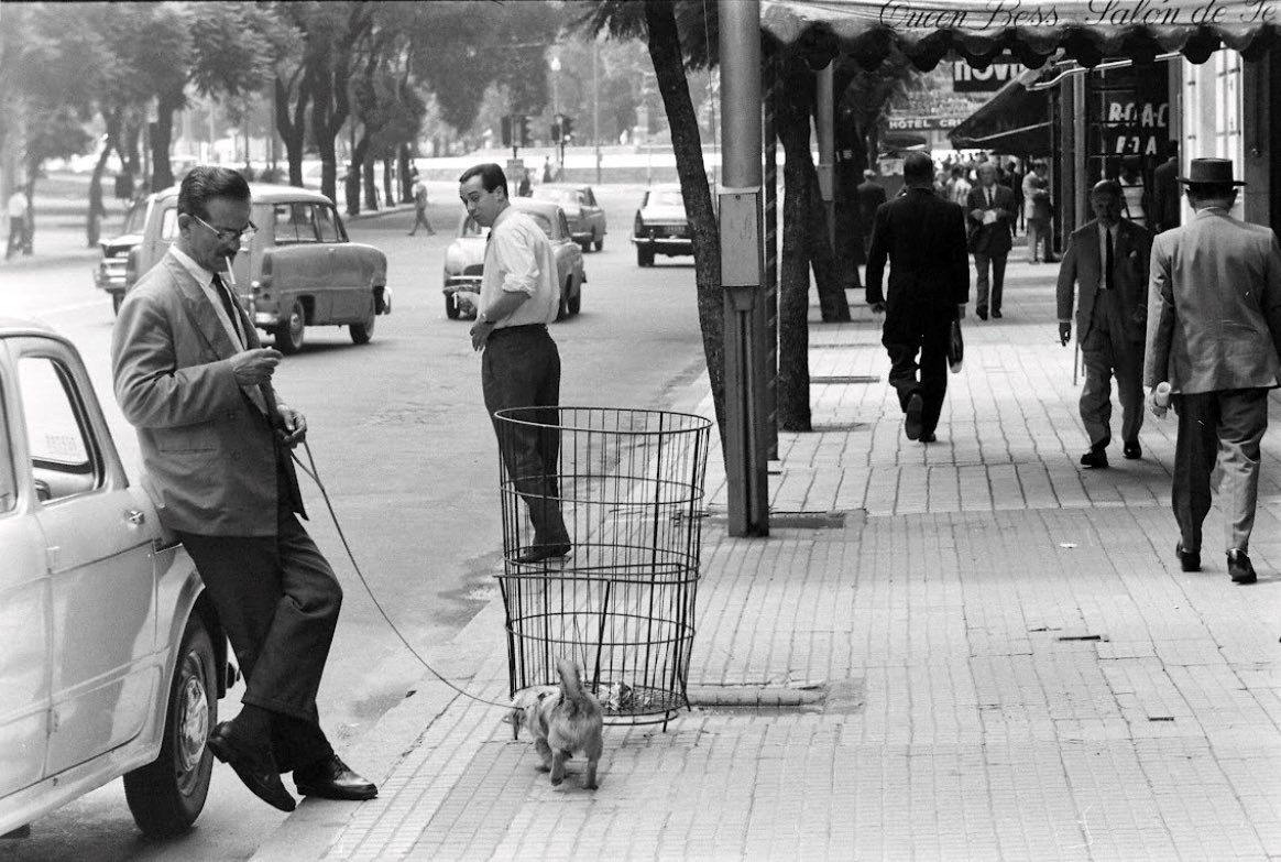 Argentina en la Memoria tweet media
