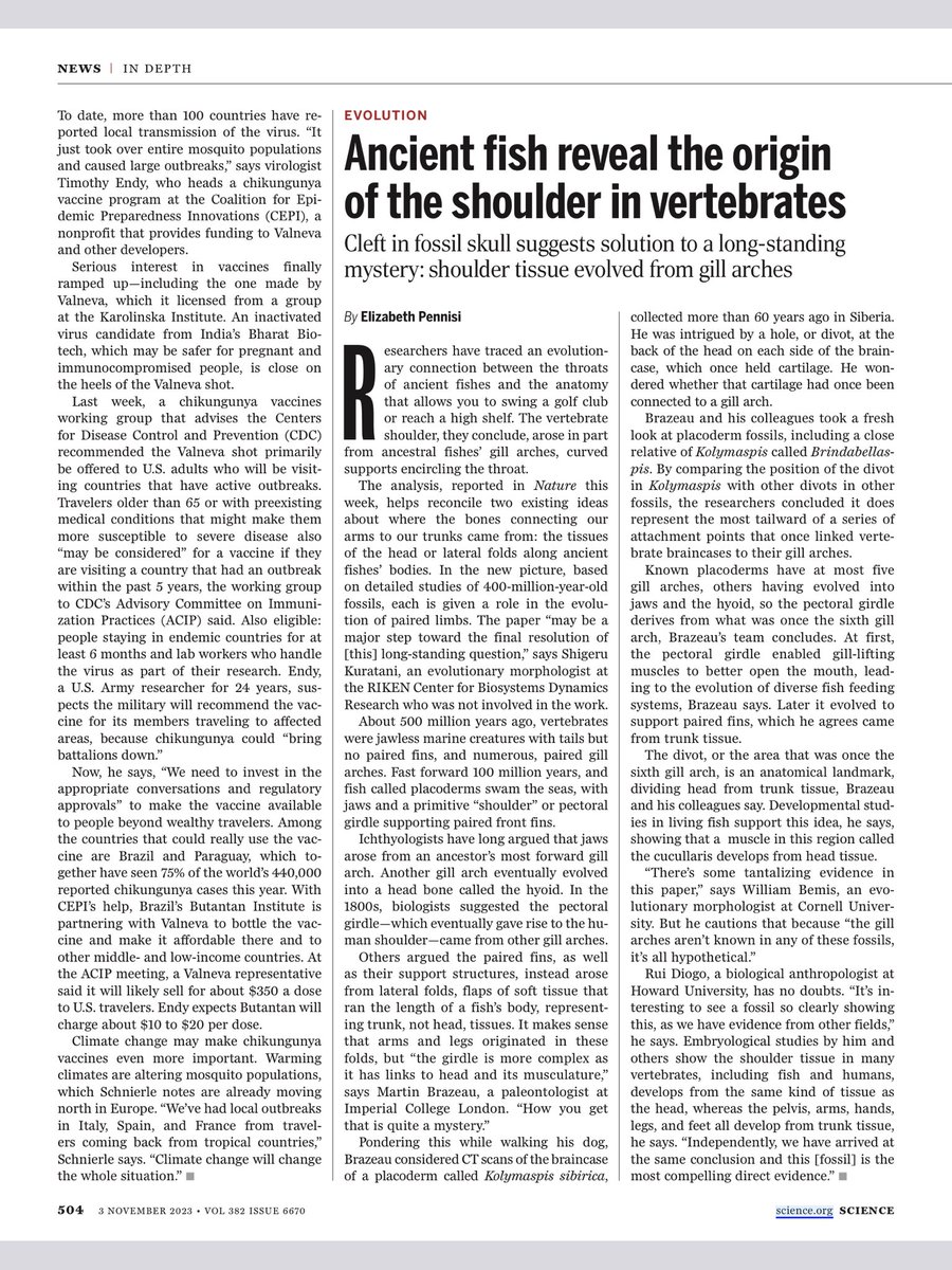 TRej2011's tweet photo. Ancient fish reveal the origin of the shoulder in vertebrates
#evolution #EvolutionIsTrue https://t.co/9RUE8bO0e6