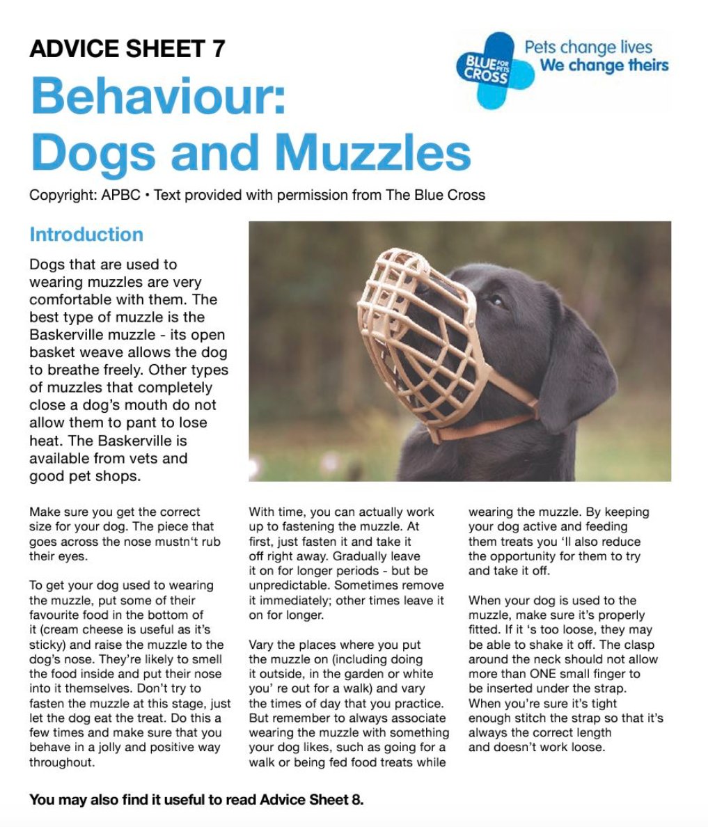 Following the government's announcement regarding XL Bullies, you can download a free info sheet on muzzle training from our website here: apbc.org.uk/wp-content/upl…